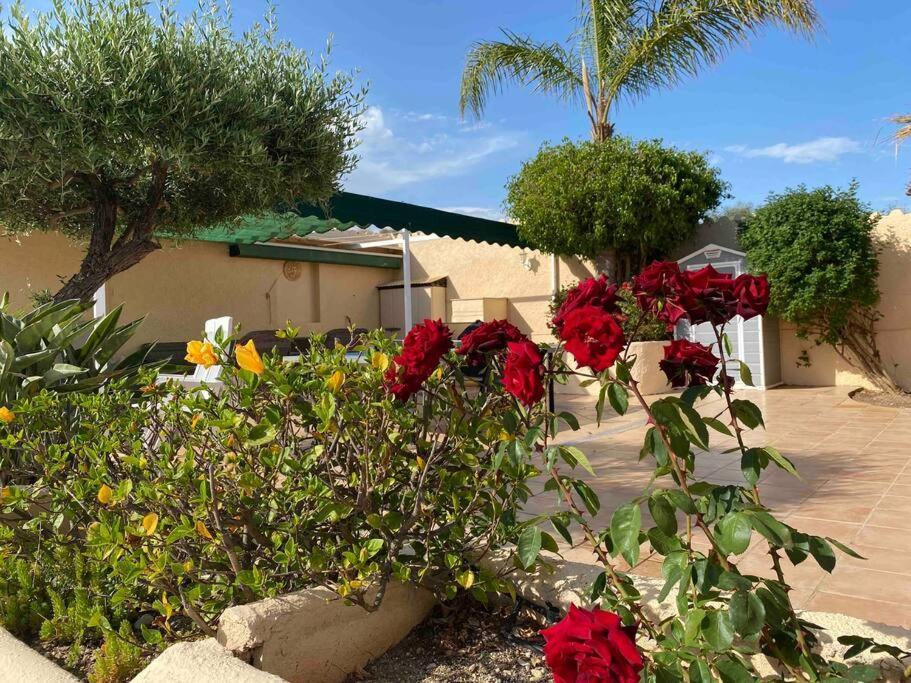 Villa Los Faramondos Naturehouse Turre Bagian luar foto