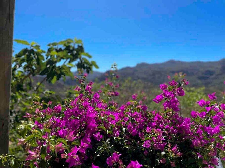 Villa Los Faramondos Naturehouse Turre Bagian luar foto